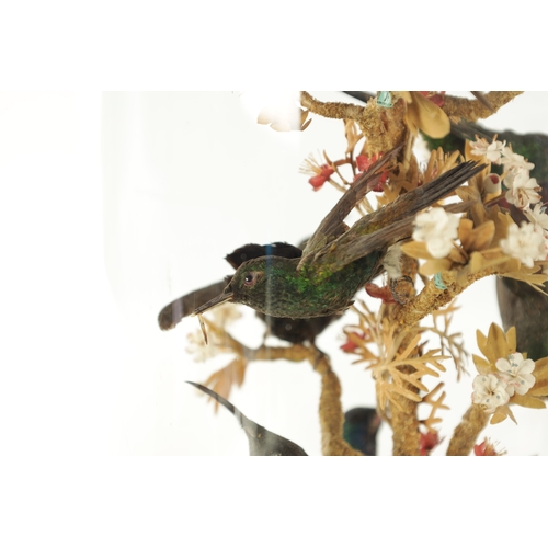 1098 - A LATE 19TH CENTURY FRENCH ROTATING TAXIDERMY BIRD CLOCK, having hummingbirds perched on a central r... 