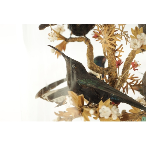 1098 - A LATE 19TH CENTURY FRENCH ROTATING TAXIDERMY BIRD CLOCK, having hummingbirds perched on a central r... 