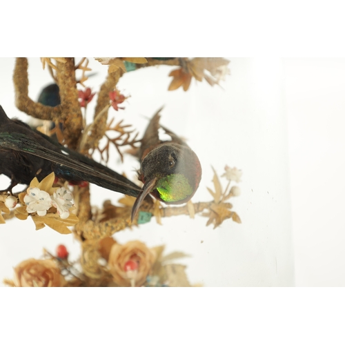 1098 - A LATE 19TH CENTURY FRENCH ROTATING TAXIDERMY BIRD CLOCK, having hummingbirds perched on a central r... 