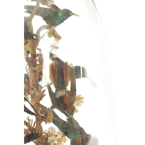 1098 - A LATE 19TH CENTURY FRENCH ROTATING TAXIDERMY BIRD CLOCK, having hummingbirds perched on a central r... 