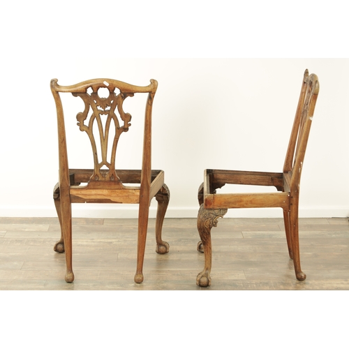 1226 - A GOOD PAIR OF GEORGE III MAHOGANY CHIPPENDALE DESIGN SIDE CHAIRS with leaf carved pierced backs and... 