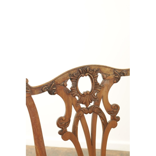 1226 - A GOOD PAIR OF GEORGE III MAHOGANY CHIPPENDALE DESIGN SIDE CHAIRS with leaf carved pierced backs and... 