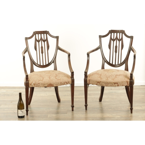 1273 - A PAIR OF GEORGE III MAHOGANY SHERATON ARMCHAIRS with shield-shaped carved backs and splayed arms ra... 