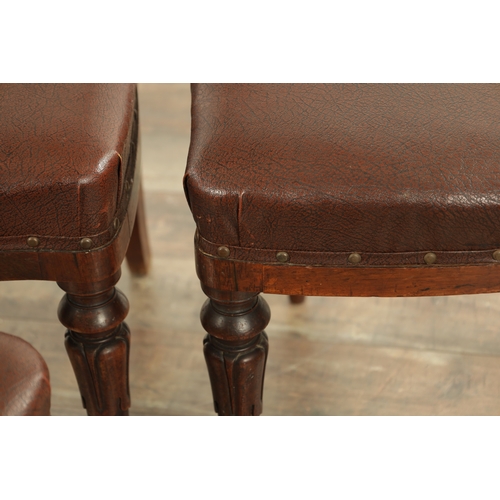 1340 - A SET OF FOUR ROSEWOOD WILLIAM IV DINING CHAIRS with open leaf carved backs and upholstered seats; r... 