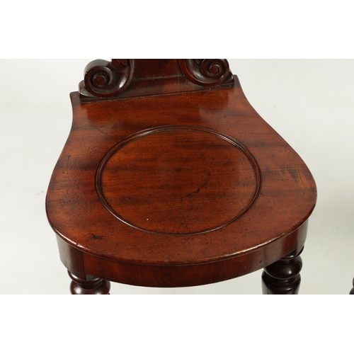 1346 - A PAIR OF WILLIAM IV MAHOGANY HALL CHAIRS with leaf-carved shaped backs above rounded seats; raised ... 