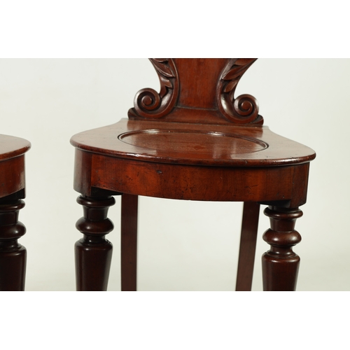 1346 - A PAIR OF WILLIAM IV MAHOGANY HALL CHAIRS with leaf-carved shaped backs above rounded seats; raised ... 