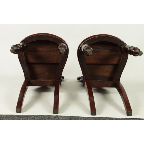 1346 - A PAIR OF WILLIAM IV MAHOGANY HALL CHAIRS with leaf-carved shaped backs above rounded seats; raised ... 