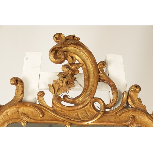 1350 - AN 18TH CENTURY GILT CARVED WOOD ROCOCO STYLE HANGING MIRROR with scrolled leaf carved surround with... 