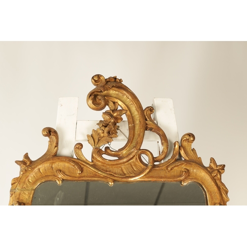 1350 - AN 18TH CENTURY GILT CARVED WOOD ROCOCO STYLE HANGING MIRROR with scrolled leaf carved surround with... 