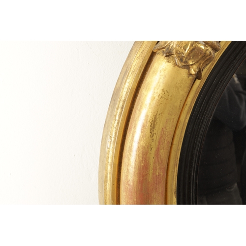 1380 - A REGENCY CARVED GILT GESSO CONVEX MIRROR with panelled leaf carved border, ebonised inner slip and ... 