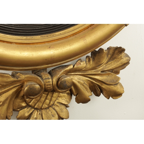 1380 - A REGENCY CARVED GILT GESSO CONVEX MIRROR with panelled leaf carved border, ebonised inner slip and ... 