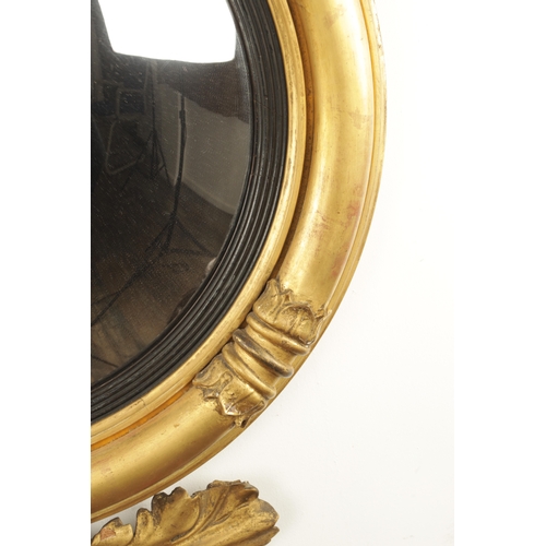 1380 - A REGENCY CARVED GILT GESSO CONVEX MIRROR with panelled leaf carved border, ebonised inner slip and ... 