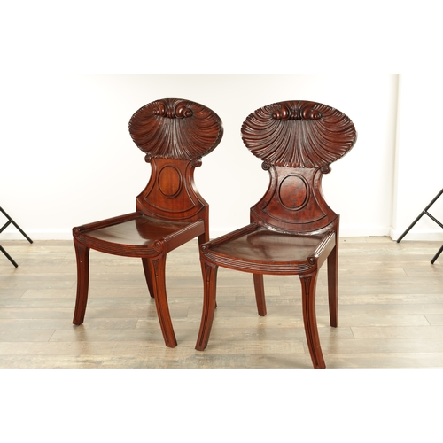 1389 - A PAIR OF REGENCY STYLE MAHOGANY HALL CHAIRS with dished seats and sabre leaf carved leg supports. (... 