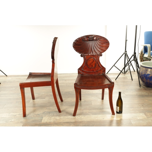 1389 - A PAIR OF REGENCY STYLE MAHOGANY HALL CHAIRS with dished seats and sabre leaf carved leg supports. (... 