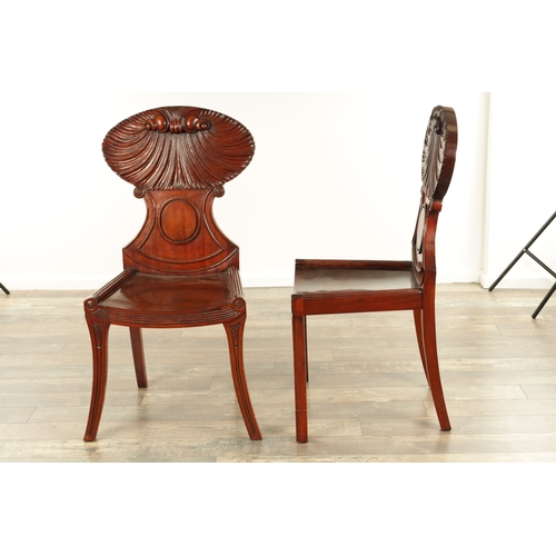 1389 - A PAIR OF REGENCY STYLE MAHOGANY HALL CHAIRS with dished seats and sabre leaf carved leg supports. (... 