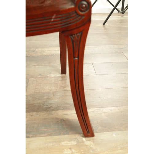 1389 - A PAIR OF REGENCY STYLE MAHOGANY HALL CHAIRS with dished seats and sabre leaf carved leg supports. (... 