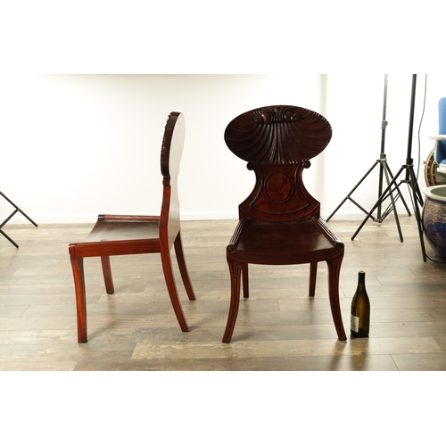 1389 - A PAIR OF REGENCY STYLE MAHOGANY HALL CHAIRS with dished seats and sabre leaf carved leg supports. (... 