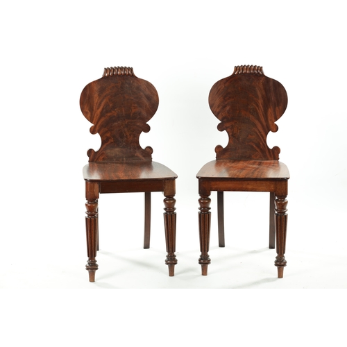 1391 - A PAIR OF REGENCY FLAMED MAHOGANY HALL CHAIRS IN THE MANNER OF GILLOWS with gadrooned handles and so... 