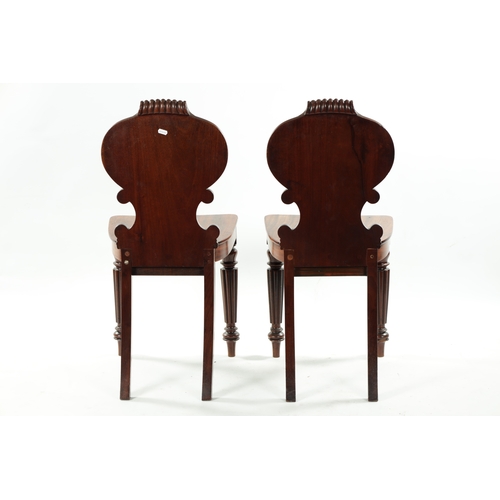 1391 - A PAIR OF REGENCY FLAMED MAHOGANY HALL CHAIRS IN THE MANNER OF GILLOWS with gadrooned handles and so... 