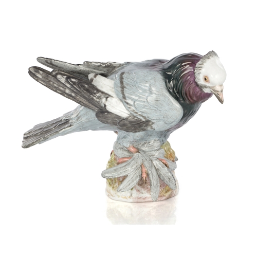 Lot 21        