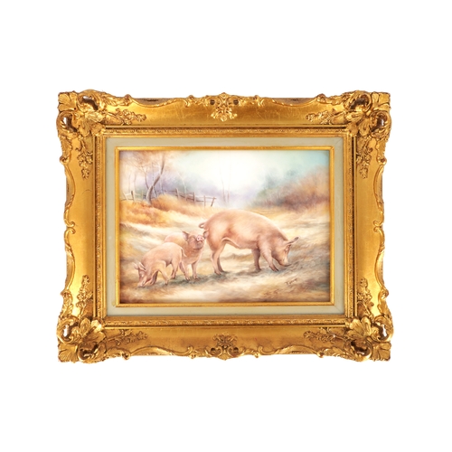 Lot 52        