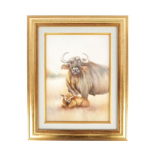 Lot 56        