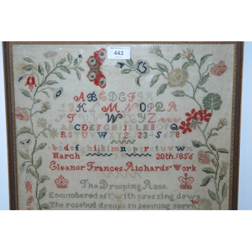 443 - A Victorian alphabet and verse sampler by Eleanor Frances Richards, dated 1856, framed and glazed, 4... 