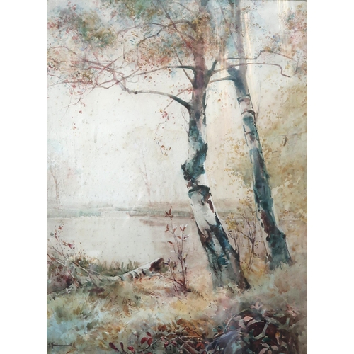 841 - BRITISH SCHOOL Silver birches, before a river, signed, watercolour, 54 x 41cm