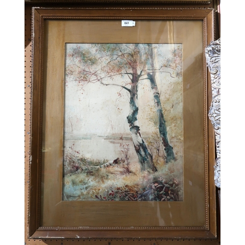 841 - BRITISH SCHOOL Silver birches, before a river, signed, watercolour, 54 x 41cm