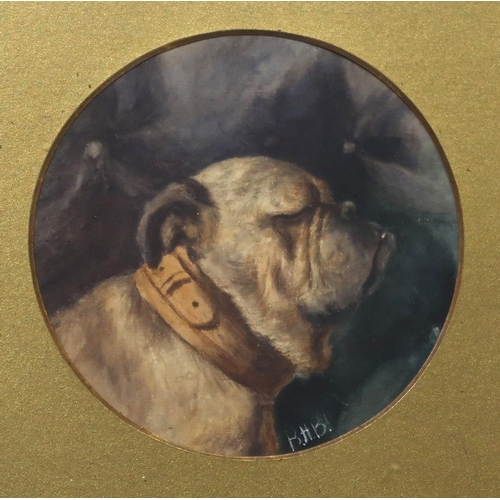 856 - B H BURTON Pug portrait head, monogrammed, watercolour, 16cm diameter 