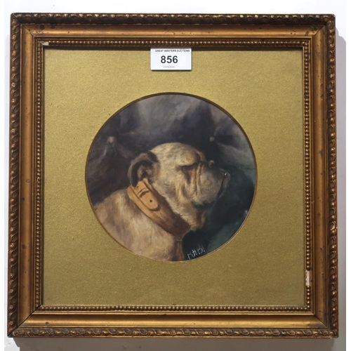 856 - B H BURTON Pug portrait head, monogrammed, watercolour, 16cm diameter 