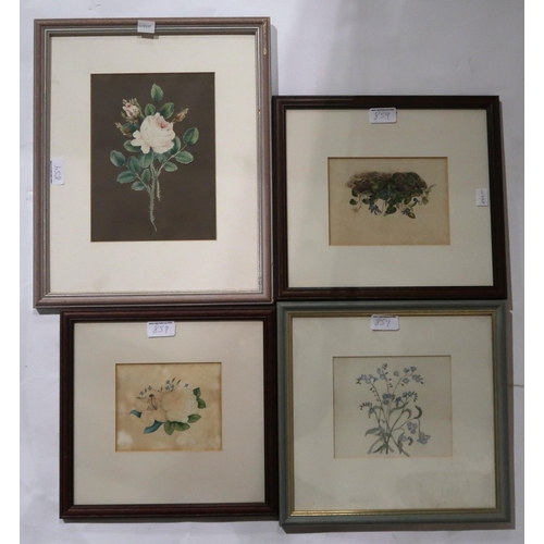 859 - BRITISH SCHOOL Floral studies, six watercolours and GEORGE GILBERT R.S.W St Monans, watercolour... 