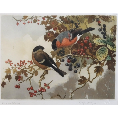 863 - WINIFRED AUSTIN Berries and Bullfinches, signed, lithograph, 25 x 31cm and two others (3)... 