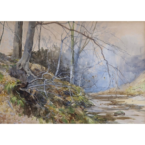 869 - HENDERSON TARBET River landscape, signed, watercolour, 33 x 47cm