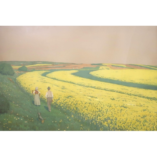 871 - BRITISH SCHOOL Fields of daffodils, lithograph, 69 x 98cm