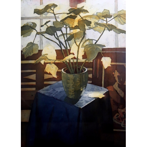 943 - MARCEL SCHELLEKENS (DUTCH CONTEMPORARY b.1954)GREEN HOUSE PLANT STILL LIFEEtching, signed lower righ... 