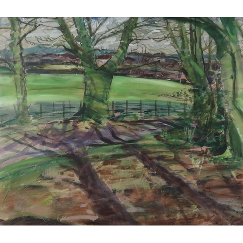 972 - SCOTTISH CONTEMPORARY SCHOOL WOODLAND AND FIELD VIEWMixed media on paper, 51 x 59cm, together w... 