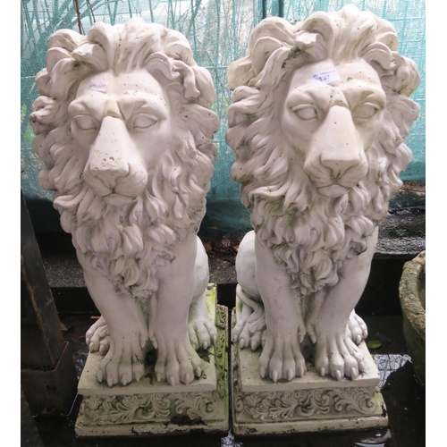 137 - A pair of contemporary stone ware garden lions, 79cm high