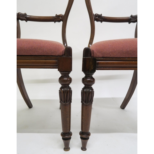 43 - A lot of four Victorian mahogany balloon back dining chairs with turned front supports (4)