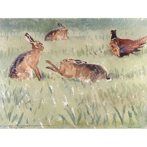 1019 - DARREN WOODHEAD SWLA (SCOTTISH CONTEMPORARY b.1971) HARES ON GRASSWatercolour on paper, signed lower... 