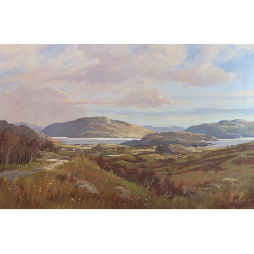 1123 - DONALD M SHEARER (SCOTTISH 1925-2017)HIGHLAND LOCH AND HILLSOil on canvas, signed, 61 x 91.5cm (24 x... 