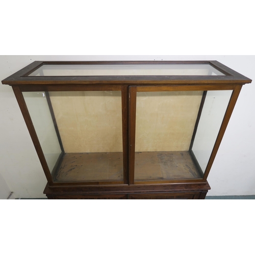 51 - A VICTORIAN MAHOGANY GLAZED DISPLAY CASE ON CABINET BASE, with two glazed doors above above panel do... 