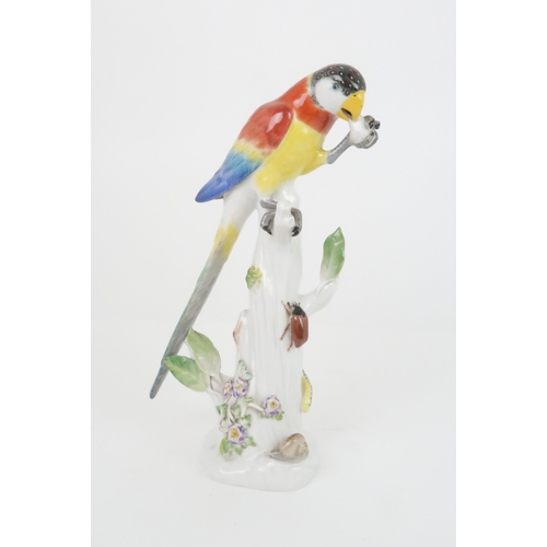 355 - A 20TH CENTURY MEISSEN PARROT modelled clutching something in it's claw, sat upon a tree stump, with... 