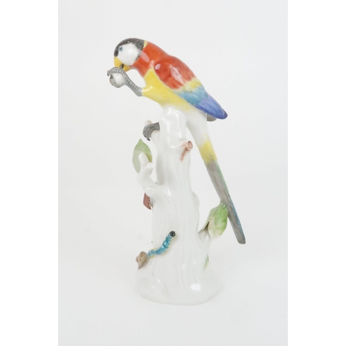 355 - A 20TH CENTURY MEISSEN PARROT modelled clutching something in it's claw, sat upon a tree stump, with... 