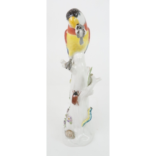 355 - A 20TH CENTURY MEISSEN PARROT modelled clutching something in it's claw, sat upon a tree stump, with... 