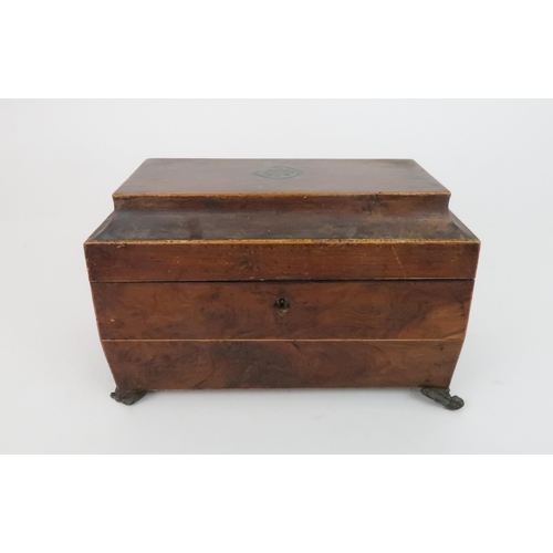 573 - A REGENCY TWO DIVISION TEA CADDYwith hinged lid and  with burr walnut lidded compartments with mixin... 