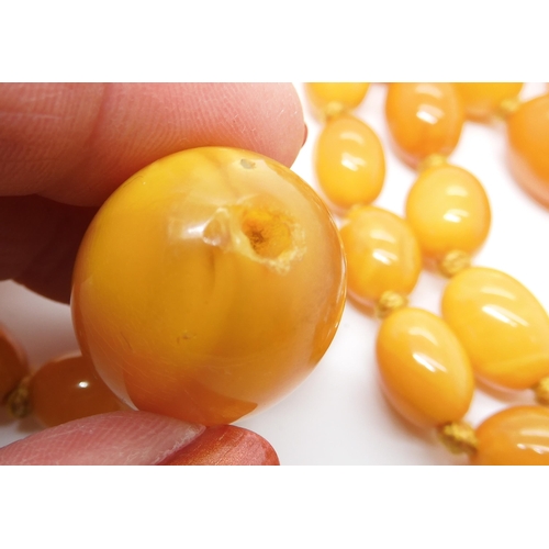 707 - A STRING OF BUTTERSCOTCH COLOUR AMBER BEADS strung length 97cm, weight 74.6gms (with one spare loose... 