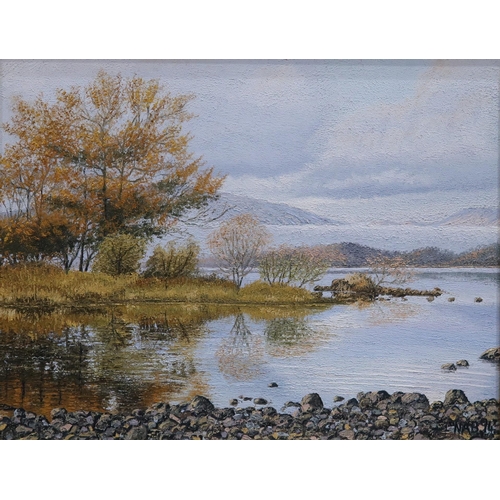 1133 - IAIN MCNAB (SCOTTISH b.1944) OCTOBER MIST LOCH LOMOND, OCTOBER REFLECTIONS LOCH LOMOND Oil... 