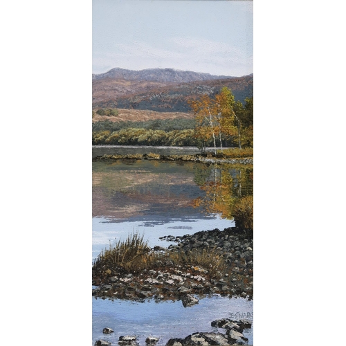 1133 - IAIN MCNAB (SCOTTISH b.1944) OCTOBER MIST LOCH LOMOND, OCTOBER REFLECTIONS LOCH LOMOND Oil... 