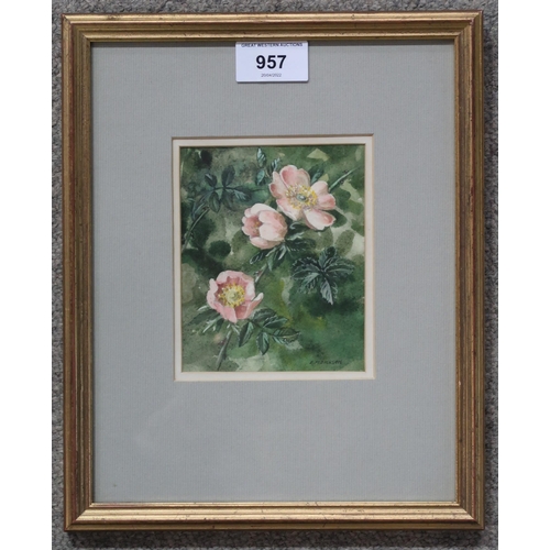 957 - EVANGELINE DICKSON Wild roses, signed, watercolour, 12 x 10cmExhibited Clarges, London... 